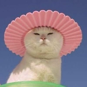 Avatar for trashsalmon