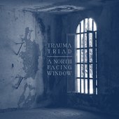 A North Facing Window