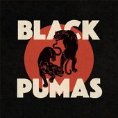 BlackPumas_BlackPumas.jpg