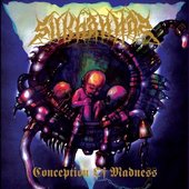 Conception Of Madness