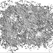 image_2025-07-18_224258421.png