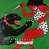 Matogrosso