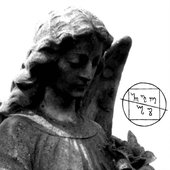 a3734391046_16.jpg