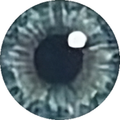 Avatar for Vantwister