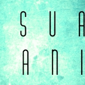 logo of  Visual Insanity