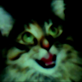 Avatar for garlicxd