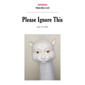 Please Ignore This