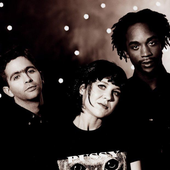 Throwing Muses