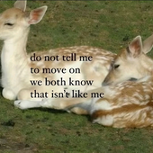 Honeybun_drake 的头像