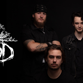 lynchwood