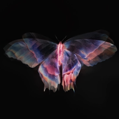 Avatar di ComplexRex
