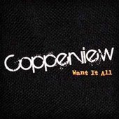 I Want It All - Single