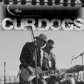 Аватар для Thecurdogs