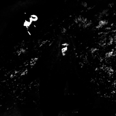 Winterdemons