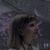 soft_universe 的头像