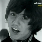 Little Stevie
