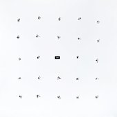 Split Series #24