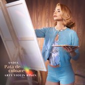 Pata de culoare (Arty Violin Remix)