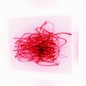 Meditation Music
