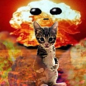 postthiscat 的头像