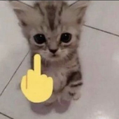 SiriuStark 的头像
