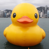 Avatar di Rubbadubbaduck