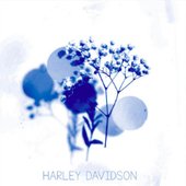 Harley Davidson