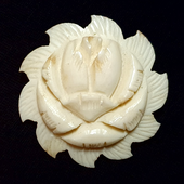 ivoryroseq 的头像