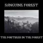 https://sanguineforest.bandcamp.com/album/the-fortress-in-the-forest