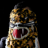 img-2023-05-12-20-08-15.png