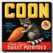 LastFM profile picture for @Coon
