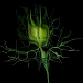Avatar for TectumMusic