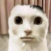 EdgarAllanToe_8 的头像