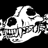 21765717_178666289347148_890836160848118922_o.png
