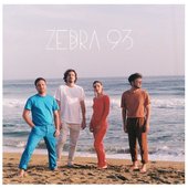 ZEBRA 93