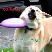 Songs About My Doge