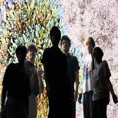 IMG_2163.jpeg
