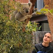 dom and koala