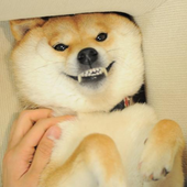 Avatar for rdwxman