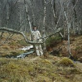 early March 2003 at Finnkonevika, Kjerringøy, Norway