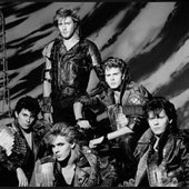 Duran Duran,The Wild Boys