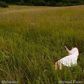Allelopathy