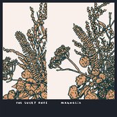 'Magnolia' by The Lucky Ones (NL, 2025)