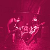 IMG_3101.jpeg