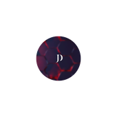 J Dani