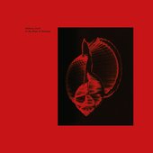 In the Place of Harmony