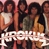 krokus3.jpg