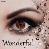 Wonderful - Single
