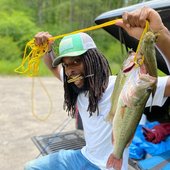 BirdsFlyStoned.jpg