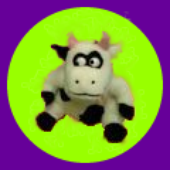 moogal-the-cow 的头像